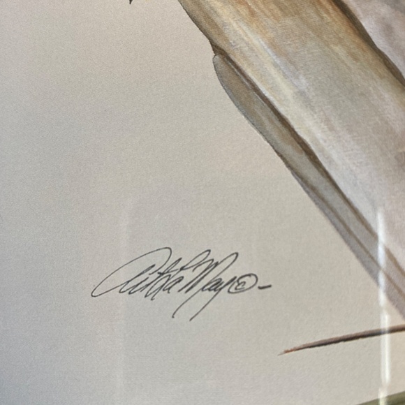 Art La May 3x framed prints with glass: Water Pair, Green Winged, Canvas Back. - Picture 13 of 16